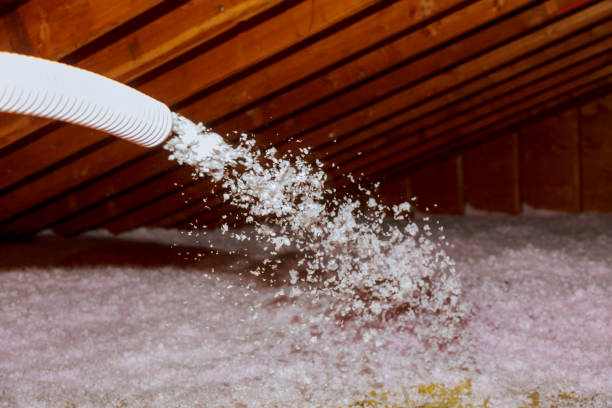 Best Insulation Installation Cost  in Ava, MO