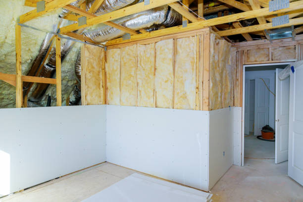 Best Home Insulation Services  in Ava, MO