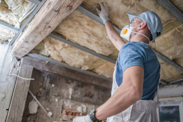 Best Garage Insulation Installation  in Ava, MO