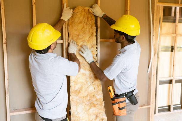 Best Cellulose Insulation  in Ava, MO