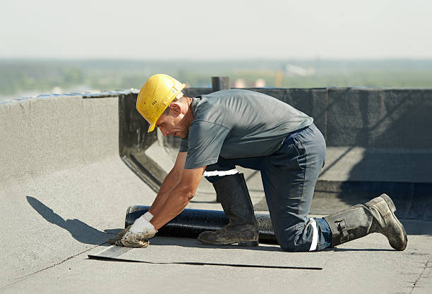 Best Insulation Contractor Near Me  in Ava, MO