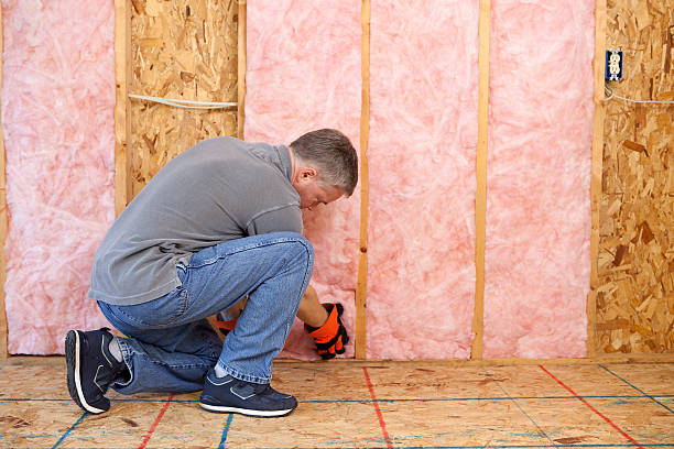 Best Affordable Insulation Services  in Ava, MO