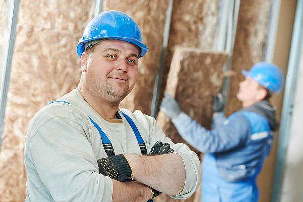 Best Wall Insulation Contractor  in Ava, MO