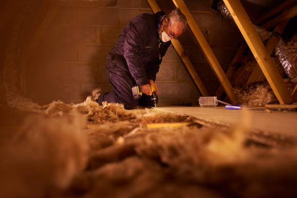 Best Home Insulation Services  in Ava, MO